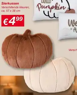 Kik Sierkussen aanbieding