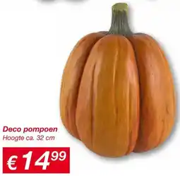 Kik Deco pompoen aanbieding