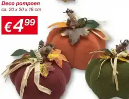 Kik Deco pompoen aanbieding