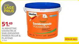 Praxis Alabastine voorstrijk sneldrogend primer muur & plafond aanbieding