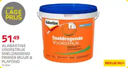 Praxis Alabastine Voorstrijk Sneldrogend Primer Muur & Plafond aanbieding