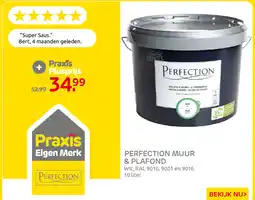 Praxis Praxis Perfection Muur & Plafond aanbieding