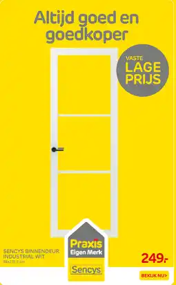 Praxis Sencys binnendeur industrial wit aanbieding