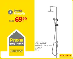 Praxis Aquavive Regendouche Junin aanbieding