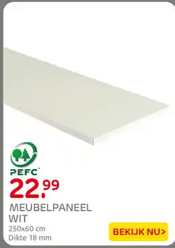 Praxis PEFC MEUBELPANEEL WIT aanbieding