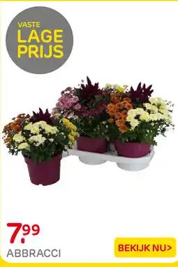 Praxis abbracci aanbieding