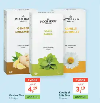 Holland & Barrett Jacob Hooy Thee aanbieding