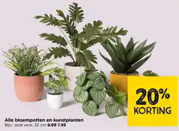 Xenos Alle bloempotten en kunstplanten aanbieding