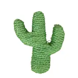 Zooplus TIAKI Sisal-cactus voor katten - 1 stuk aanbieding