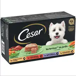 Zooplus Cesar Classic Hondenvoer Gemengd pakket - 4 x 150 g aanbieding