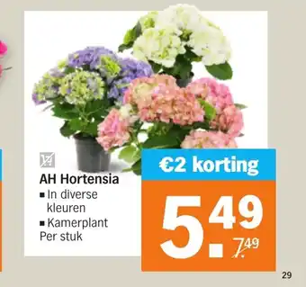 Albert Heijn Hortensia aanbieding