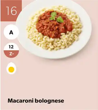 Van Hoeckel Macaroni bolognese aanbieding