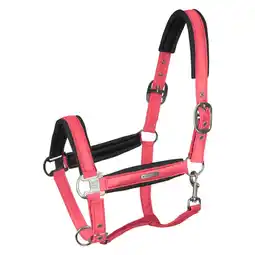 Pets Place Waldhausen Halter Mesh - Halster - Fuchsia Full aanbieding