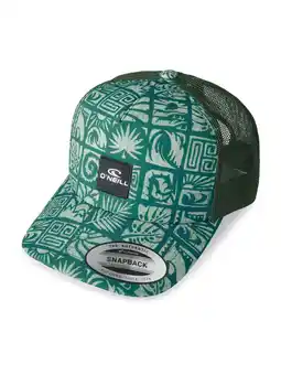 Wehkamp O'Neill Summer Camp katoenen pet met print - groen/blauw aanbieding