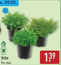 ALDI Hebe aanbieding