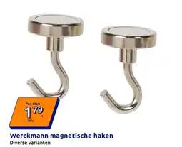 Action Werckmann magnetische haken aanbieding