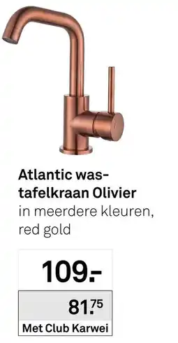 Karwei Atlantic wastafelkraan olivier aanbieding