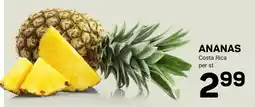 Ekoplaza ananas aanbieding