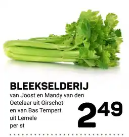 Ekoplaza bleekselderij aanbieding