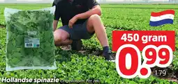 Dekamarkt Hollandse spinazie aanbieding