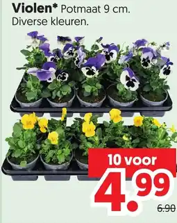 Dekamarkt Violen aanbieding