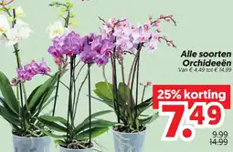 Dekamarkt Alle soorten Orchideeën aanbieding