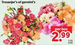 Dekamarkt Trosanjer's of germini's aanbieding