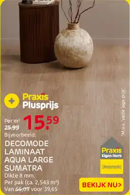 Praxis Decomode Laminaat Aqua Large Sumatra aanbieding