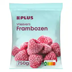 PLUS PLUS Frambozen aanbieding