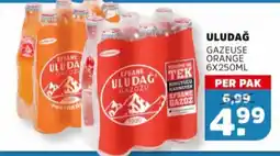 Sahan Supermarkten UludaÄŸ Gazeuse Orange aanbieding