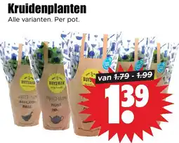 Dirk Kruidenplanten aanbieding
