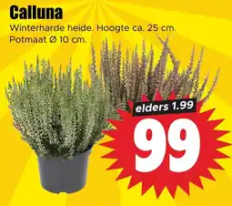Dirk Calluna aanbieding