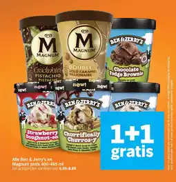 Albert Heijn Alle Ben & Jerry's en Magnum pints aanbieding