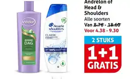 Hoogvliet Alle Andrélon of Head & Shoulders aanbieding