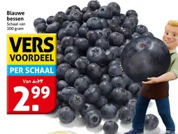 Hoogvliet Blauwe bessen aanbieding