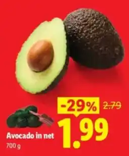 Lidl Avocado in net aanbieding