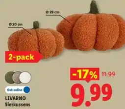 Lidl Livarno Sierkussens aanbieding