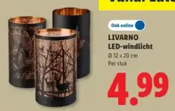 Lidl Livarno LED-windlicht aanbieding
