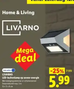 Lidl Livarno LED-buitenlamp op zonne-energie aanbieding