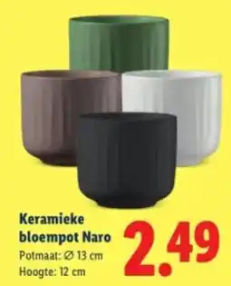 Lidl Keramieke bloempot Naro aanbieding