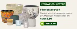 Welkoop Binnen potten aanbieding