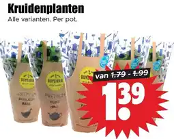 Dirk Buysman kruidenplanten aanbieding
