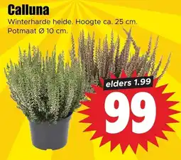Dirk Calluna aanbieding