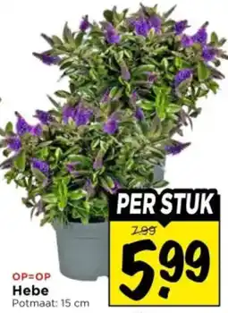 Vomar Voordeelmarkt Hebe aanbieding