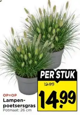 Vomar Voordeelmarkt Lampenpoetsersgras aanbieding
