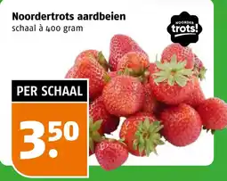 Poiesz Noordertrots aardbeien aanbieding