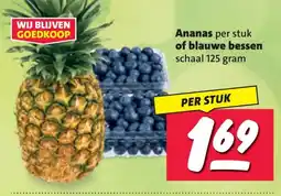 Nettorama Ananas of blauwe bessen aanbieding