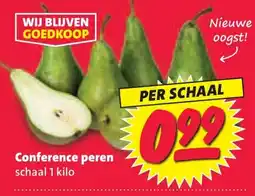 Nettorama Conference peren aanbieding
