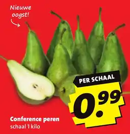 Boni Conference peren aanbieding