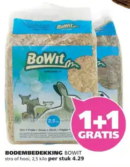 Ranzijn Bowit bodembedekking aanbieding